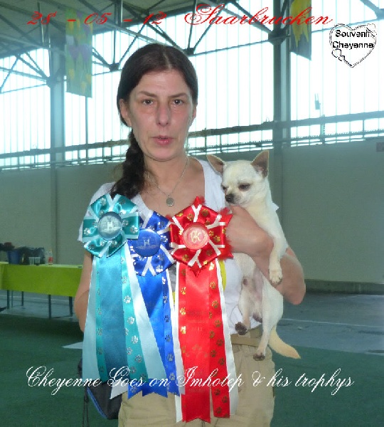 Publication : Souvenir Cheyenne Auteur : Gladys Blomme