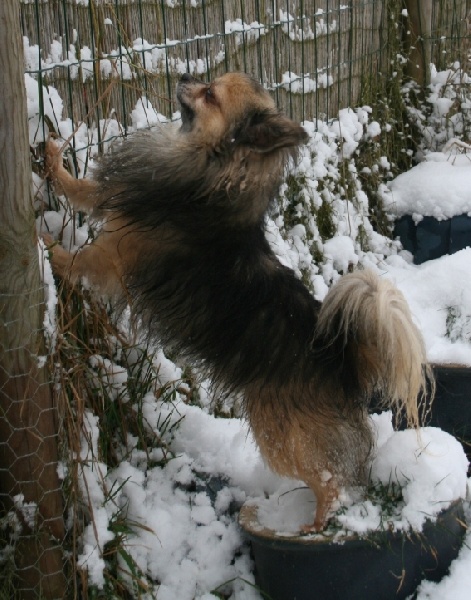 Publication : Souvenir Cheyenne Auteur : Gladys Blomme