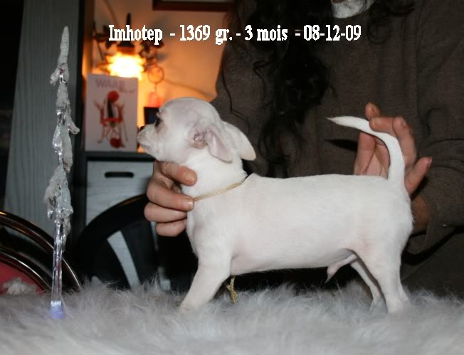 Publication : Souvenir Cheyenne Auteur : Gladys Blomme