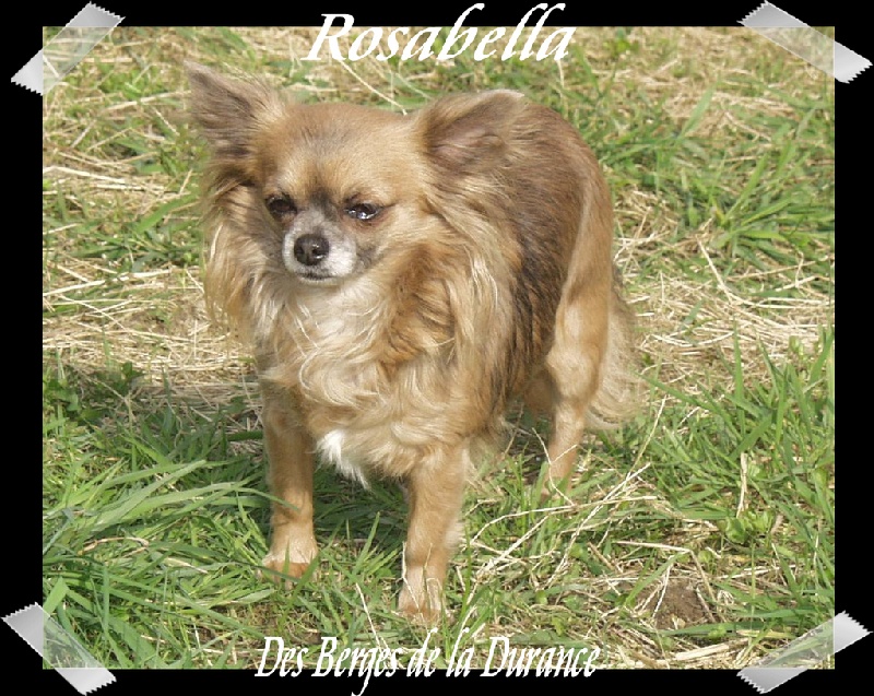 Publication : Souvenir Cheyenne Auteur : Gladys Blomme