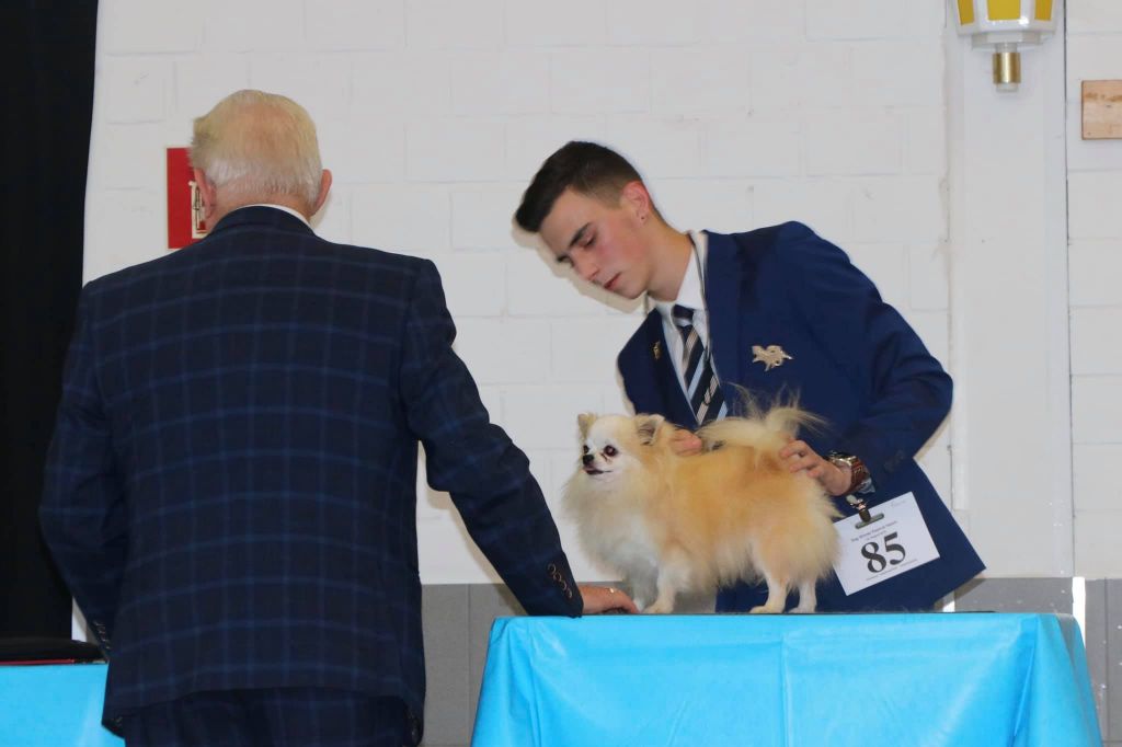 Publication : Souvenir Cheyenne Auteur : Gladys Blomme