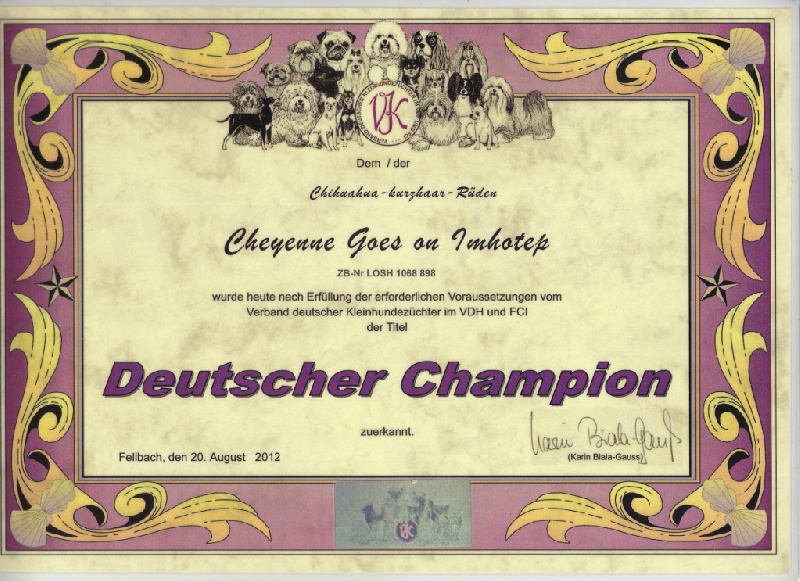 Publication : Souvenir Cheyenne Auteur : Gladys Blomme