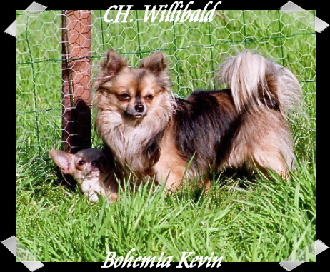 Publication : Souvenir Cheyenne Auteur : Gladys Blomme