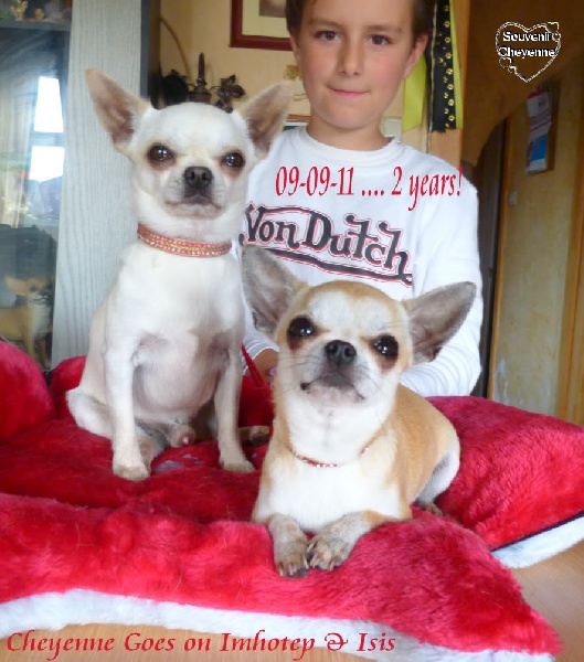 Publication : Souvenir Cheyenne Auteur : Gladys Blomme