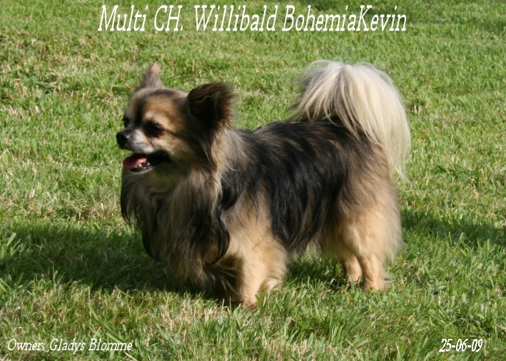 Publication : Souvenir Cheyenne Auteur : Gladys Blomme