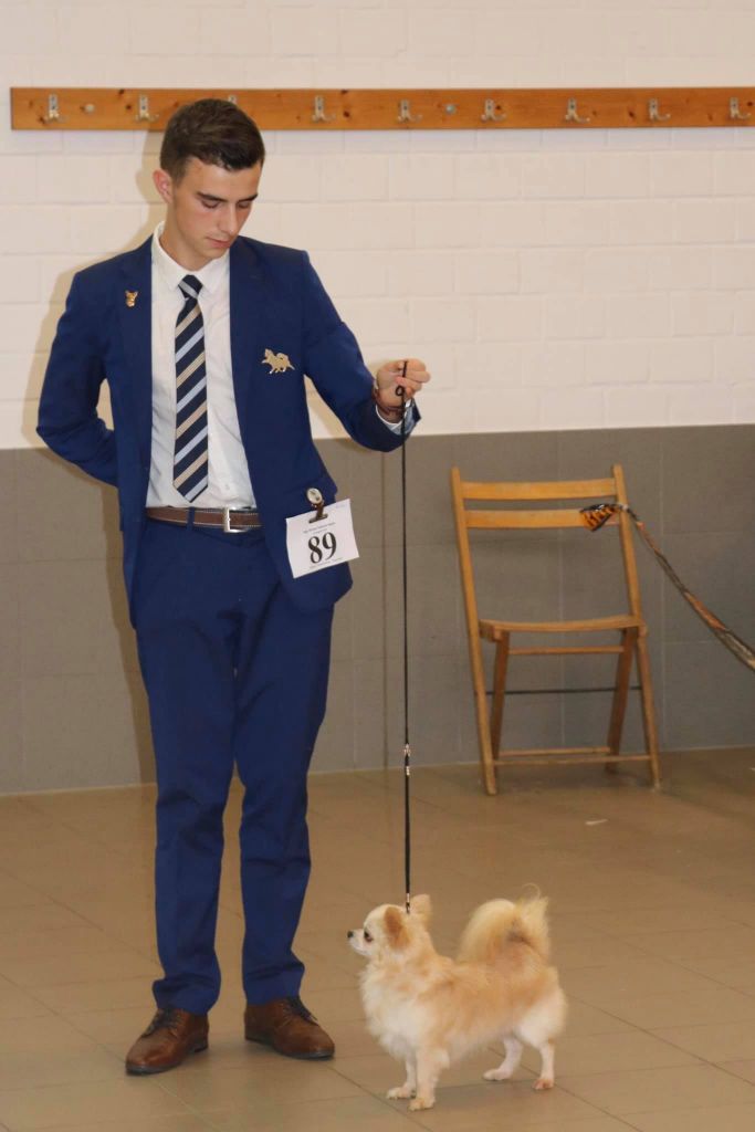 Publication : Souvenir Cheyenne Auteur : gladys Blomme