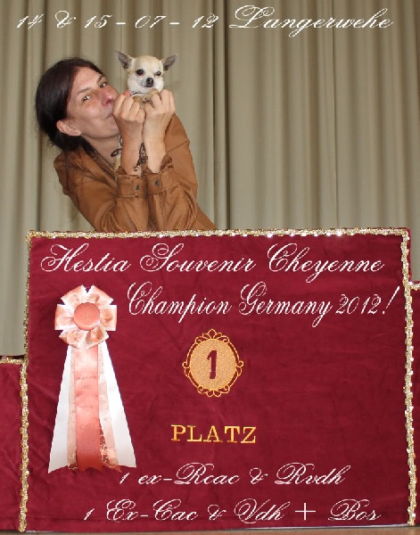 CH. Hestia Souvenir Cheyenne