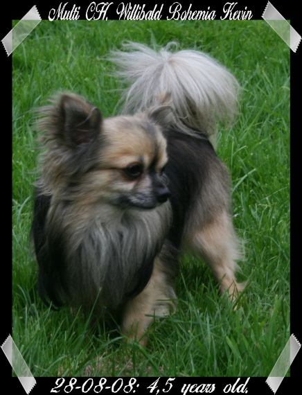 Publication : Souvenir Cheyenne Auteur : Gladys Blomme