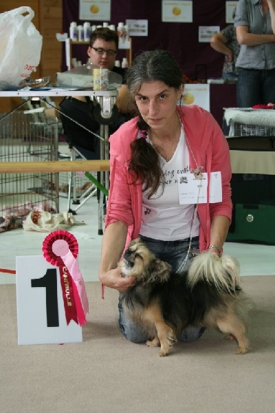 Publication : Souvenir Cheyenne Auteur : Gladys Blomme