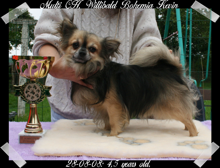 Publication : Souvenir Cheyenne Auteur : Gladys Blomme