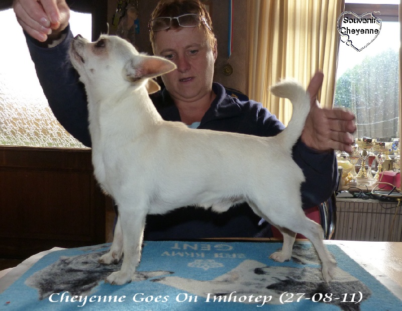 Publication : Souvenir Cheyenne Auteur : Gladys Blomme