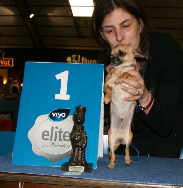 Huanca Souvenir Cheyenne