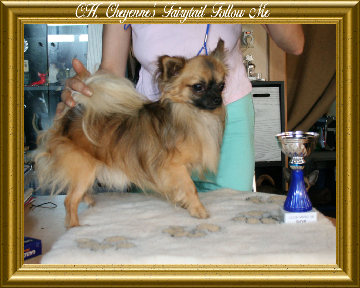 Publication : Souvenir Cheyenne Auteur : Gladys Blomme