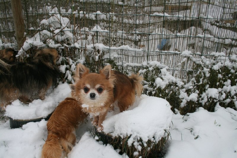 Europe Souvenir Cheyenne