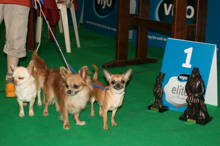 Huanca Souvenir Cheyenne