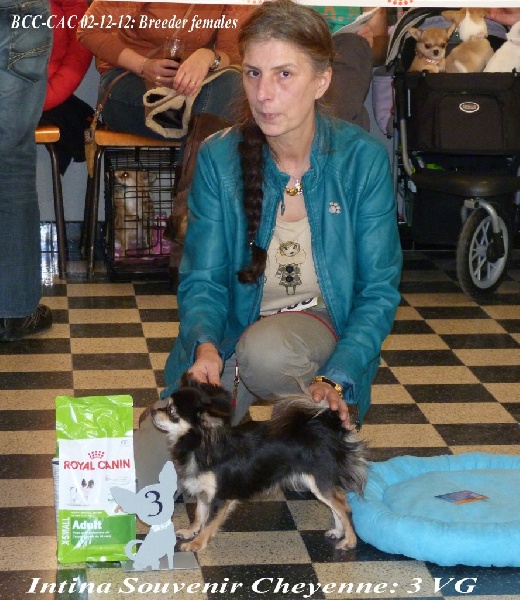 Intina Souvenir Cheyenne - 3 VG