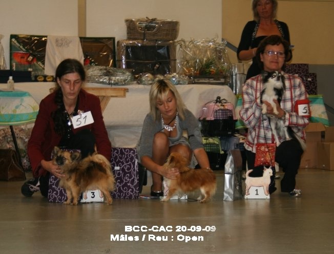 CH. cheyenne's fairytail Followme - 3 EXELLENT classe ouverte