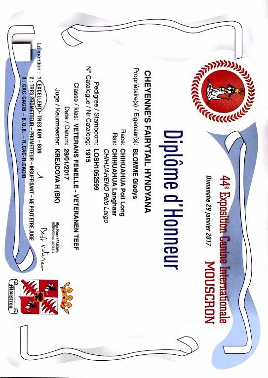 cheyenne's fairytail Hyndyana - 1 Ex & BOB vétéran