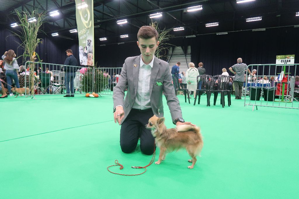 Mei-li Des Rives Du Djoliba - Très bon (junior classe de 8 ) et admission d'élevage KMSH