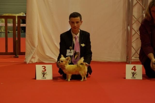 cheyenne goes on My alter ego - 3 Exellent (classe intermédiaire) + quotée 3 points CCCE