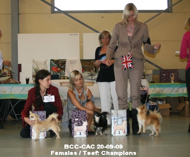 CH. cheyenne goes on Finalflash - 3 EXELLENT classe champions