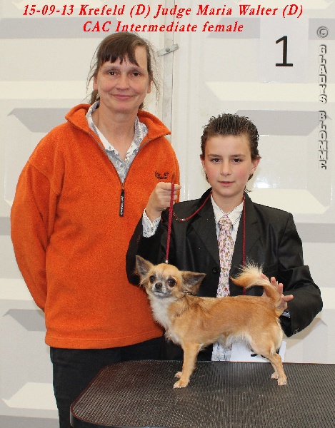 Lomasi cheyenne goes on - 1 x-CAC-VDH