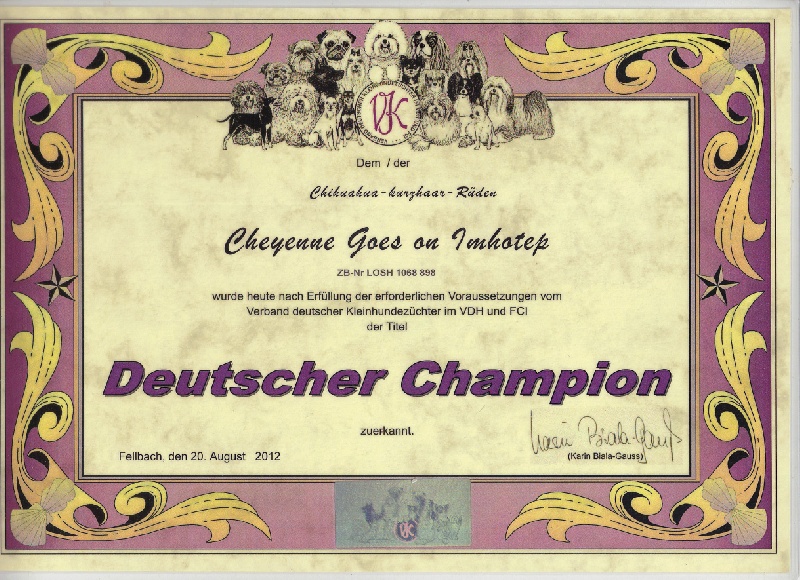 CH. cheyenne goes on Imhotep - 1 Ex-CAC-VDH + German Champion 2012