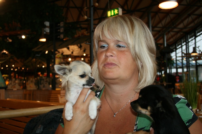 Kessi chomutovski amorek - 1 Très Prometteur!