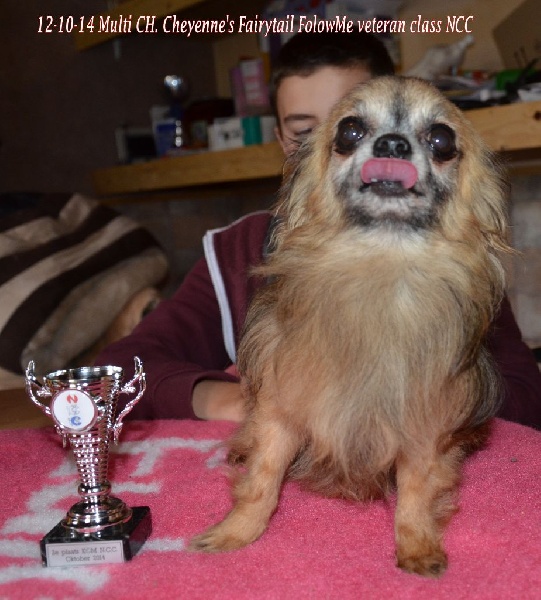 CH. cheyenne's fairytail Followme - 2 Ex-RCAC vétérans