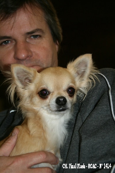CH. cheyenne goes on Finalflash - 2 Ex - RCAC