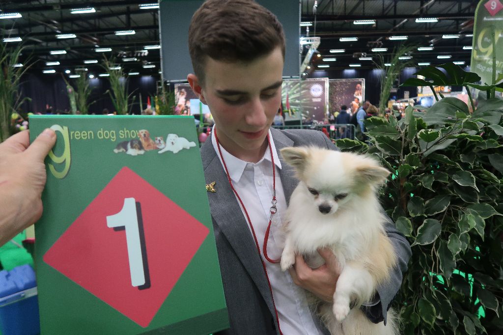 CH. Kiler lutins du faubourg - 1 Ex -RCAC-RCACIB