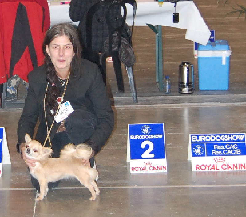 CH. cheyenne goes on Finalflash - 1 Ex-RCAC-RCACIB