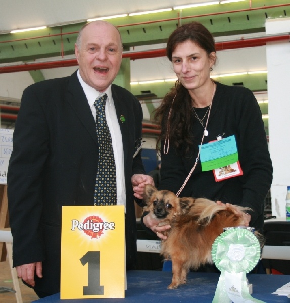 CH. cheyenne's fairytail Followme - 1 Ex - CAC - VDH - BOB + Rheinland Sieger 09