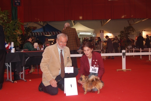 CH. cheyenne's fairytail Followme - 1 Ex - CACIB - BOB