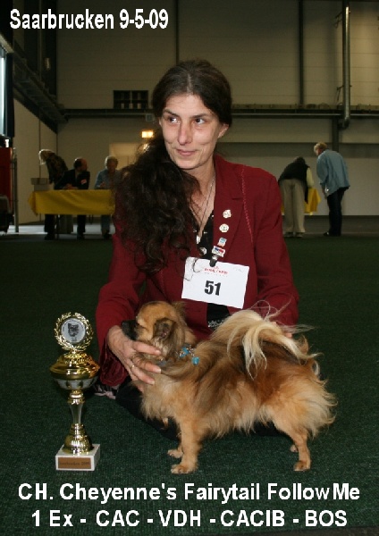 CH. cheyenne's fairytail Followme - 1 Ex - CAC - VDH - CACIB - BOS