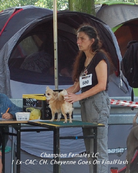 CH. cheyenne goes on Finalflash - 1 Ex-CAC