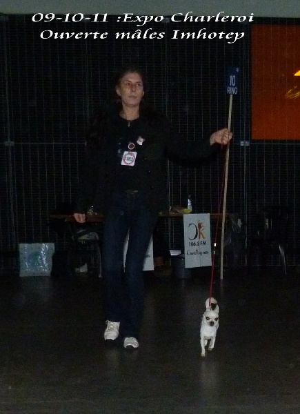 CH. cheyenne goes on Imhotep - 4 TB