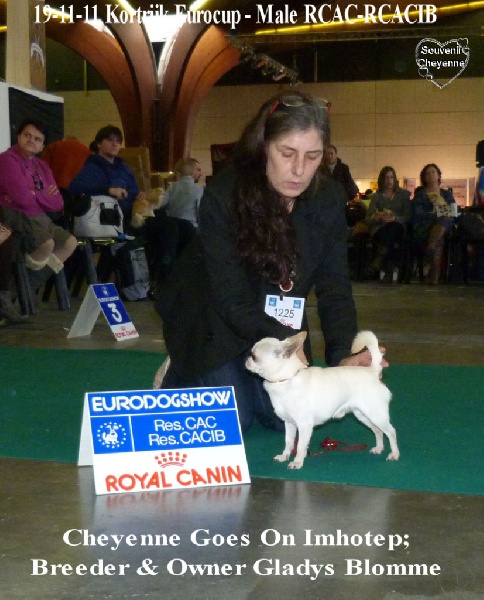 CH. cheyenne goes on Imhotep - 1 Ex-RCAC-RCACIB