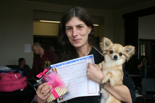 CH. cheyenne goes on Finalflash - Selection élevage BCC / Breeder selection BCC 09