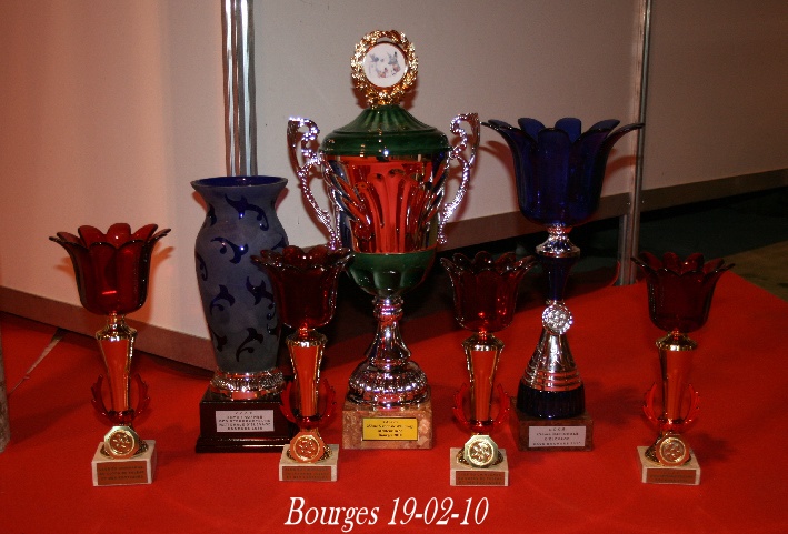 CH. cheyenne goes on Imhotep - 4 Très Prometteur