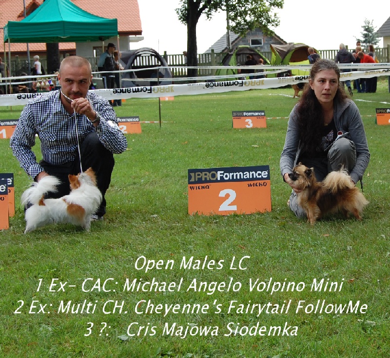 CH. cheyenne's fairytail Followme - 2 Ex- classe ouverte
