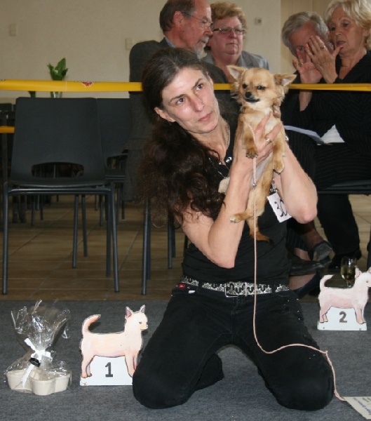 cheyenne's fairytail Hyndyana - 1 TP/VP