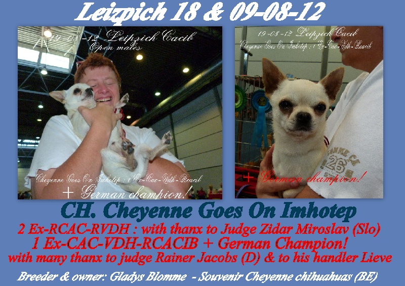 CH. cheyenne goes on Imhotep - 2 Ex-RCAC-RVDH