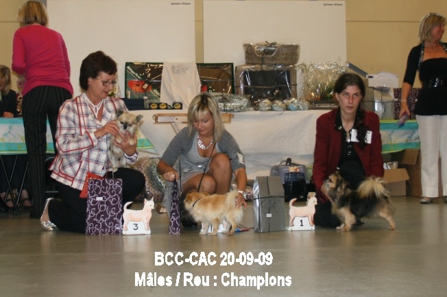 CH. Willibald bohemia kevin - 1 Ex - classe champions