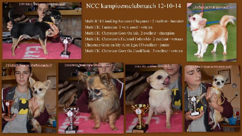 cheyenne goes on My alter ego - (5) Exellent - sur une classe de 10)