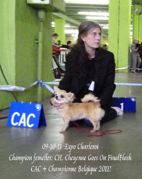 CH. cheyenne goes on Finalflash - 1 Ex - CAC - BOS + Championne Belgique 2011!