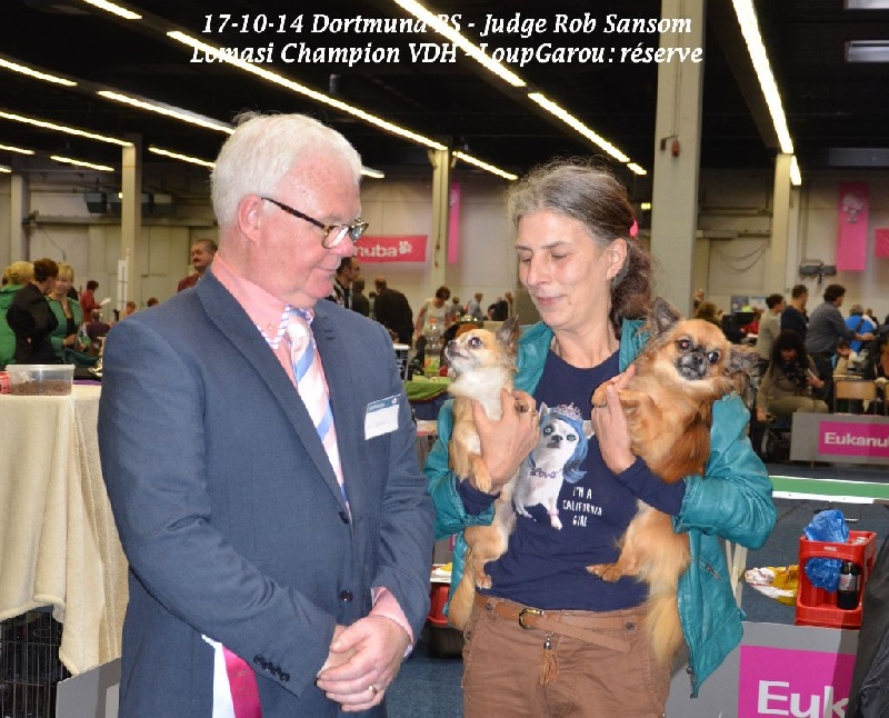 Lomasi cheyenne goes on - 2 Ex-RCAC-RVDH- CHAMPIONNE VDH 2014 !