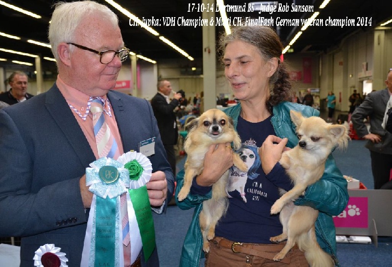 CH. cheyenne goes on Finalflash - 1 Ex- vet CAC & VDH--BOB veteran- Veteran Champion Germany 2014!