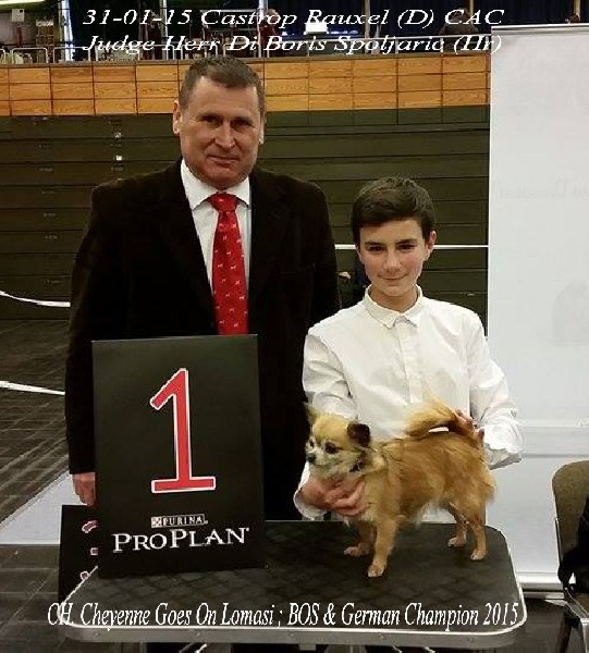 Lomasi cheyenne goes on - 1 Ex-CAC-VDH-BOS + GERMAN CHAMPION 2015 !!