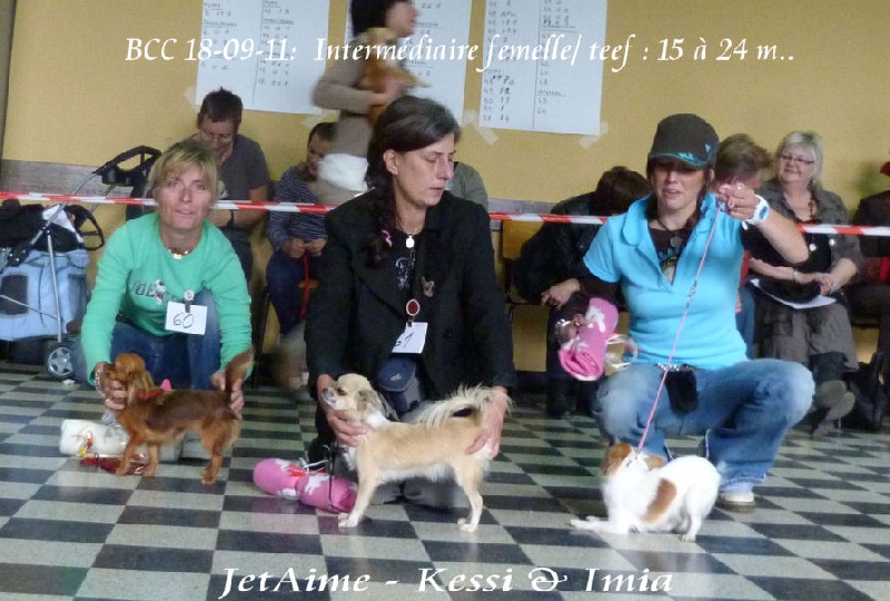 Kessi chomutovski amorek - 3 TB